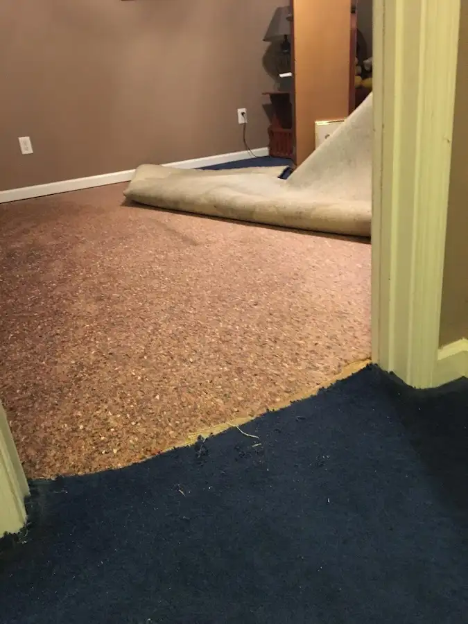 Carpet pad removal revealing water damage during Drying & Dehumidification in Hope