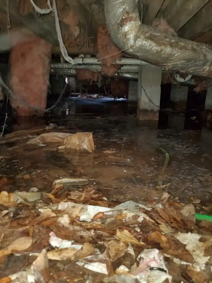 Crawl space flood assessment for Commercial Water Damage Restoration in Hope